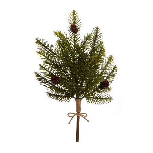 *Cedar and cone Pick