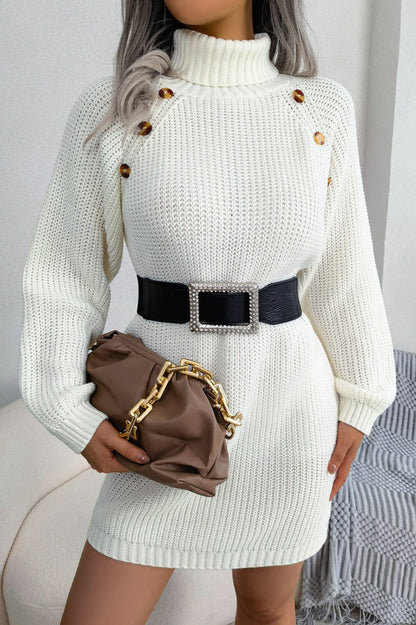 Long Sleeve Button Knit Sweater Dress
