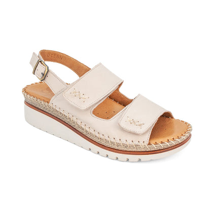 Ocean