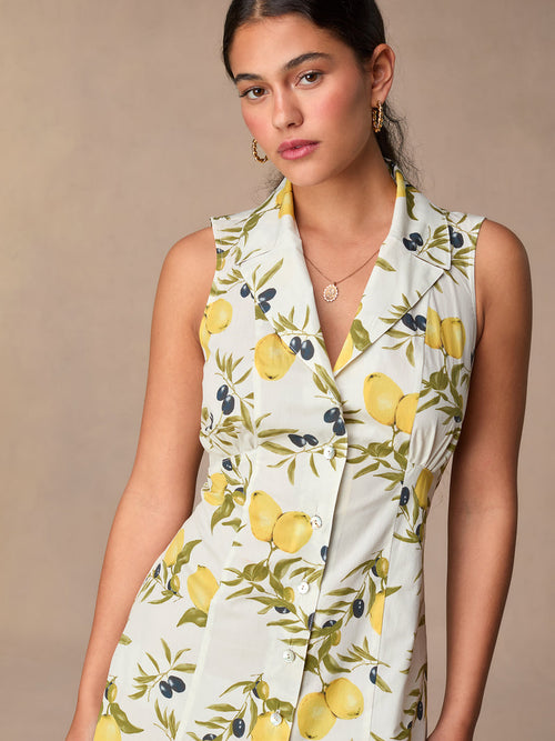 Robe FAUVE