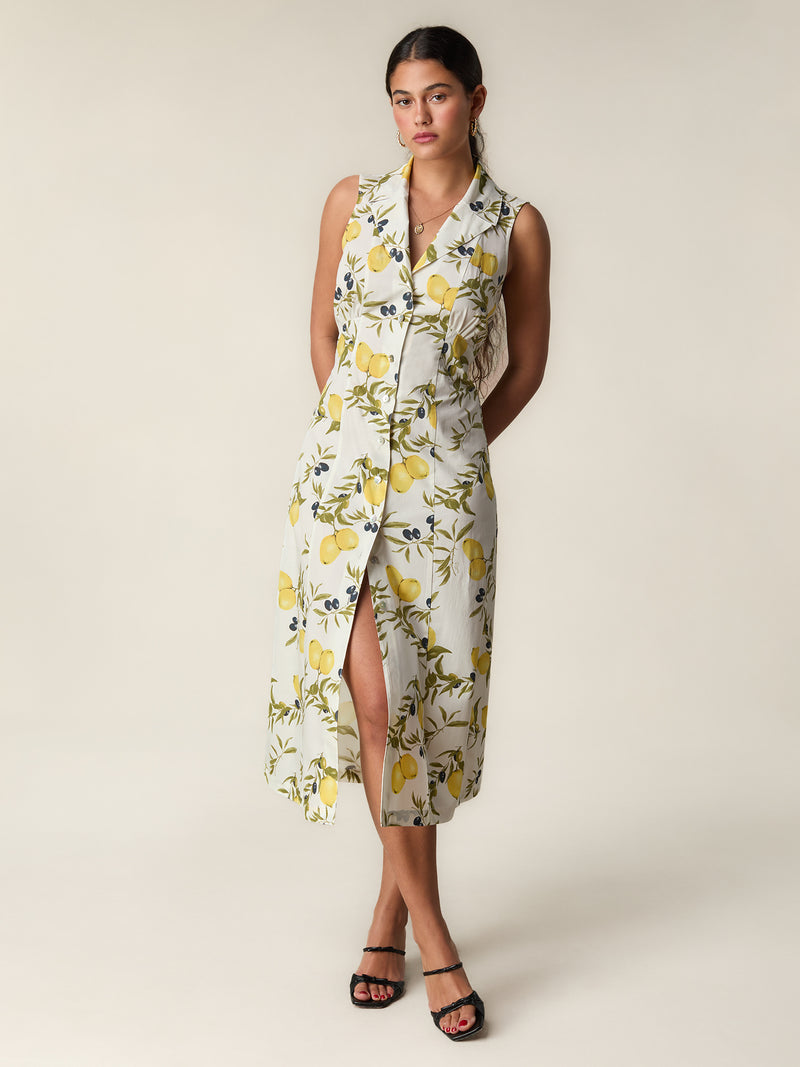 Robe FAUVE