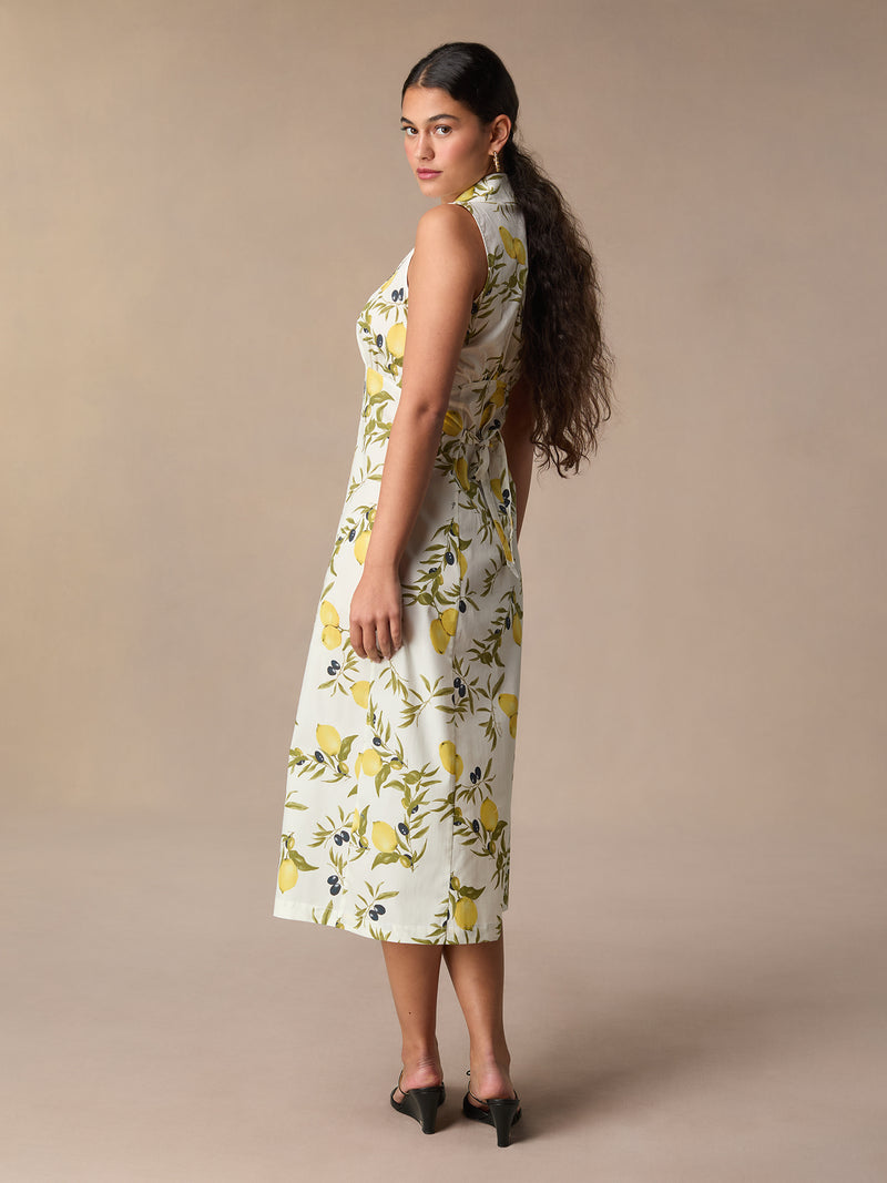 Robe FAUVE