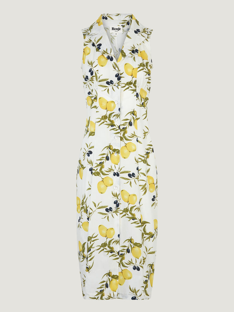Robe FAUVE